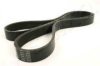 ASHIKA 112-6PK1200 V-Ribbed Belts